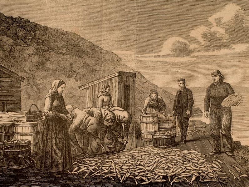 Xylography from a photography by Marcus Selmer, which shows herring fishing - from the Picture Collection at the University of Bergen Library.